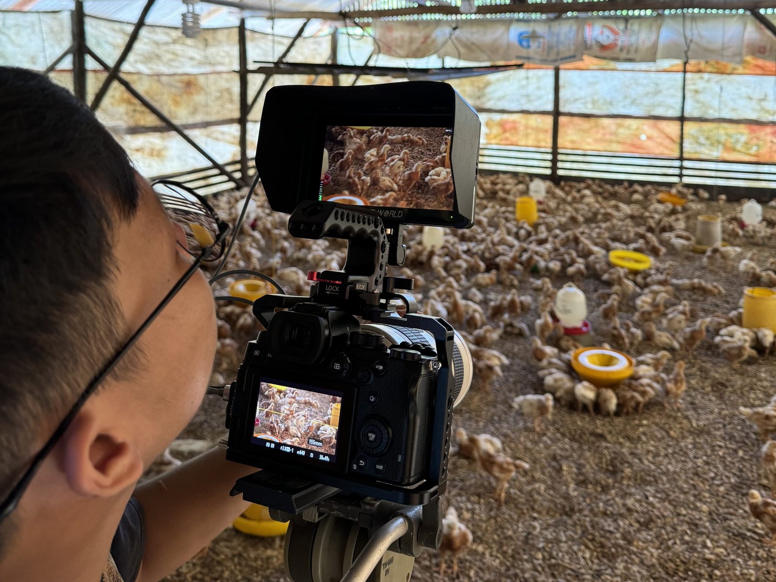 Company Profile Video
